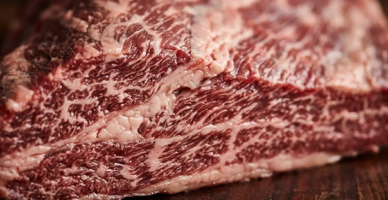 Extreme close-up of brisket showing fat marbling and meat grain